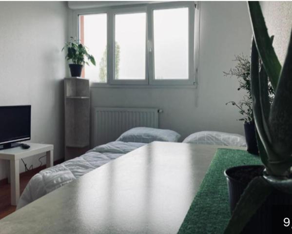Zenith Strasbourg 2 Chambre Eckbolsheim Ngoại thất bức ảnh